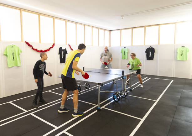 Pinpong HUB - Foto 1